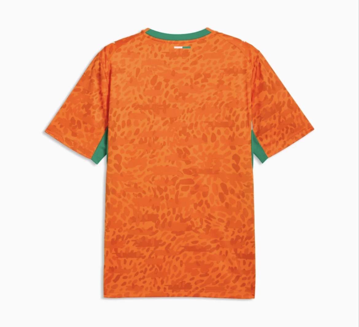 Player Version 2026 Ivory Coast World Cup Home Jersey