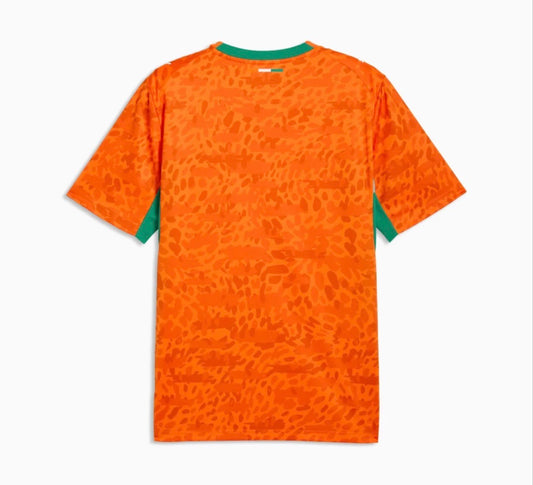 Player Version 2026 Ivory Coast World Cup Home Jersey