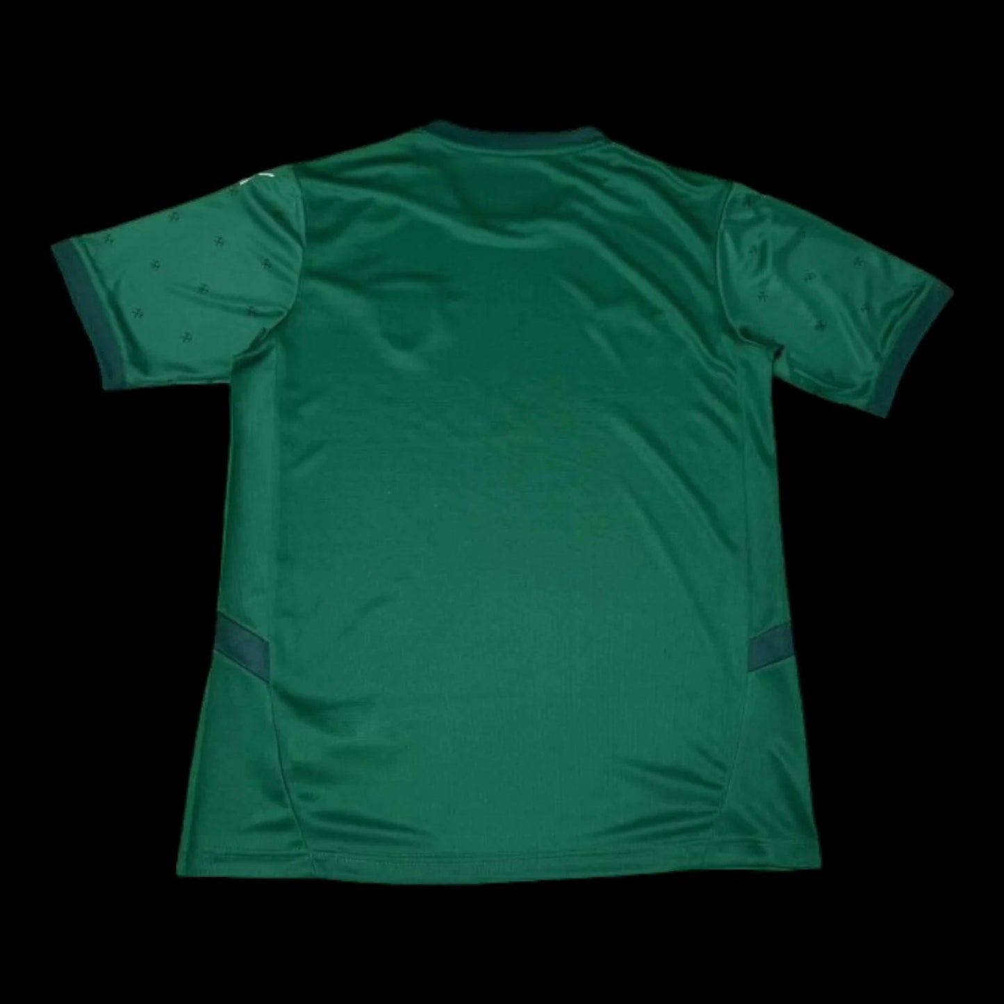 24/25 RC Lens Away Green Jersey
