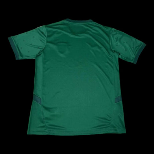 24/25 RC Lens Away Green Jersey