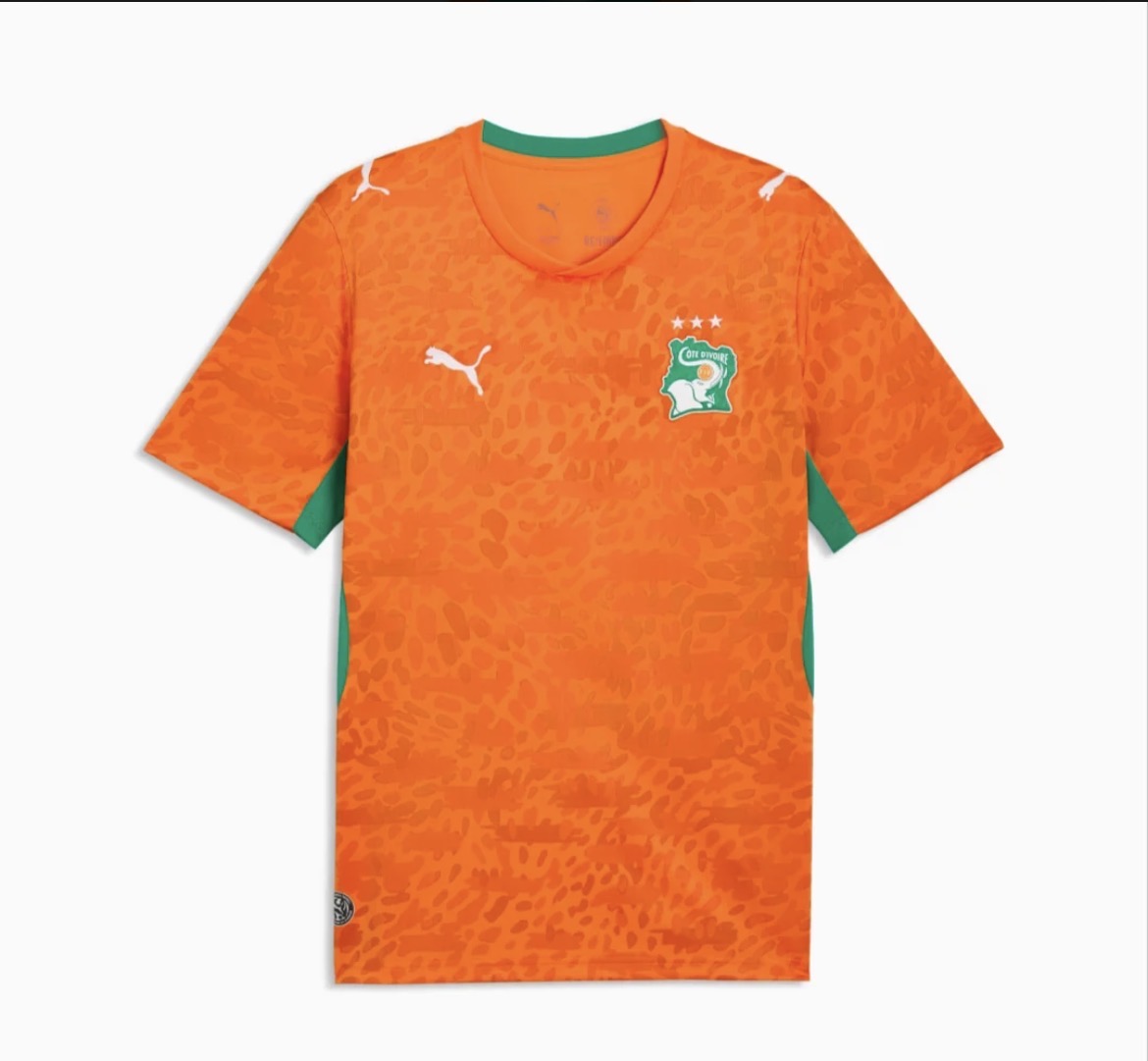 Player Version 2026 Ivory Coast World Cup Home Jersey
