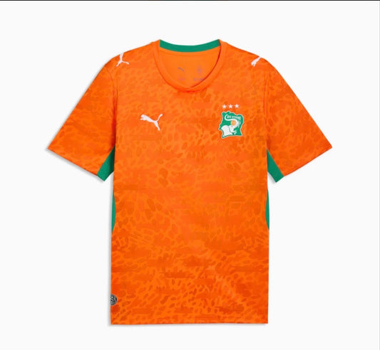 Player Version 2026 Ivory Coast World Cup Home Jersey
