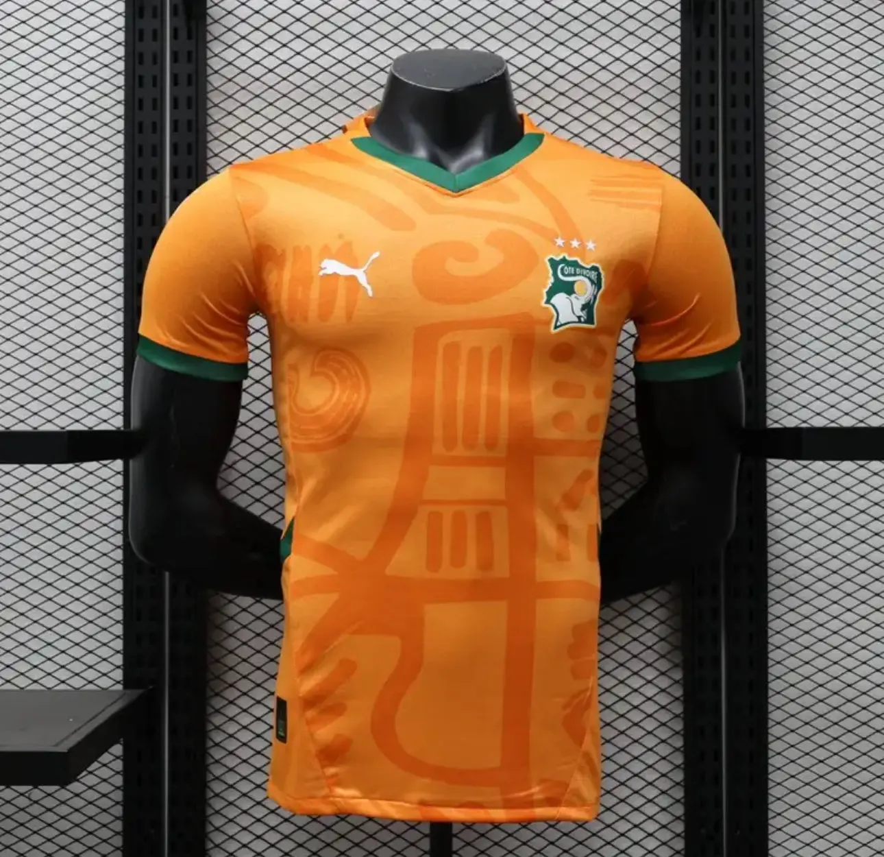 24/25 Player Version Ivory Coast Home Jersey